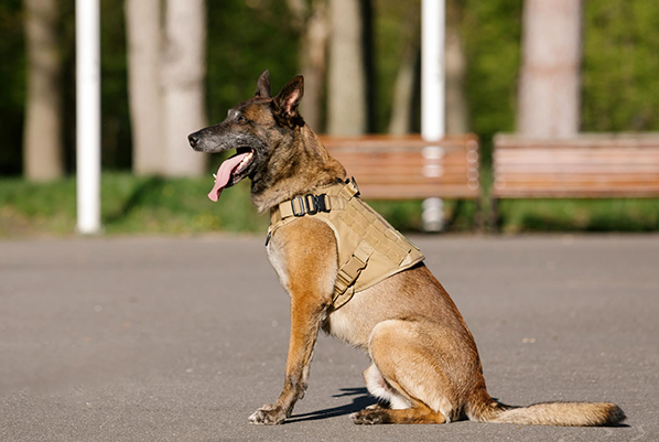 k9-security-services