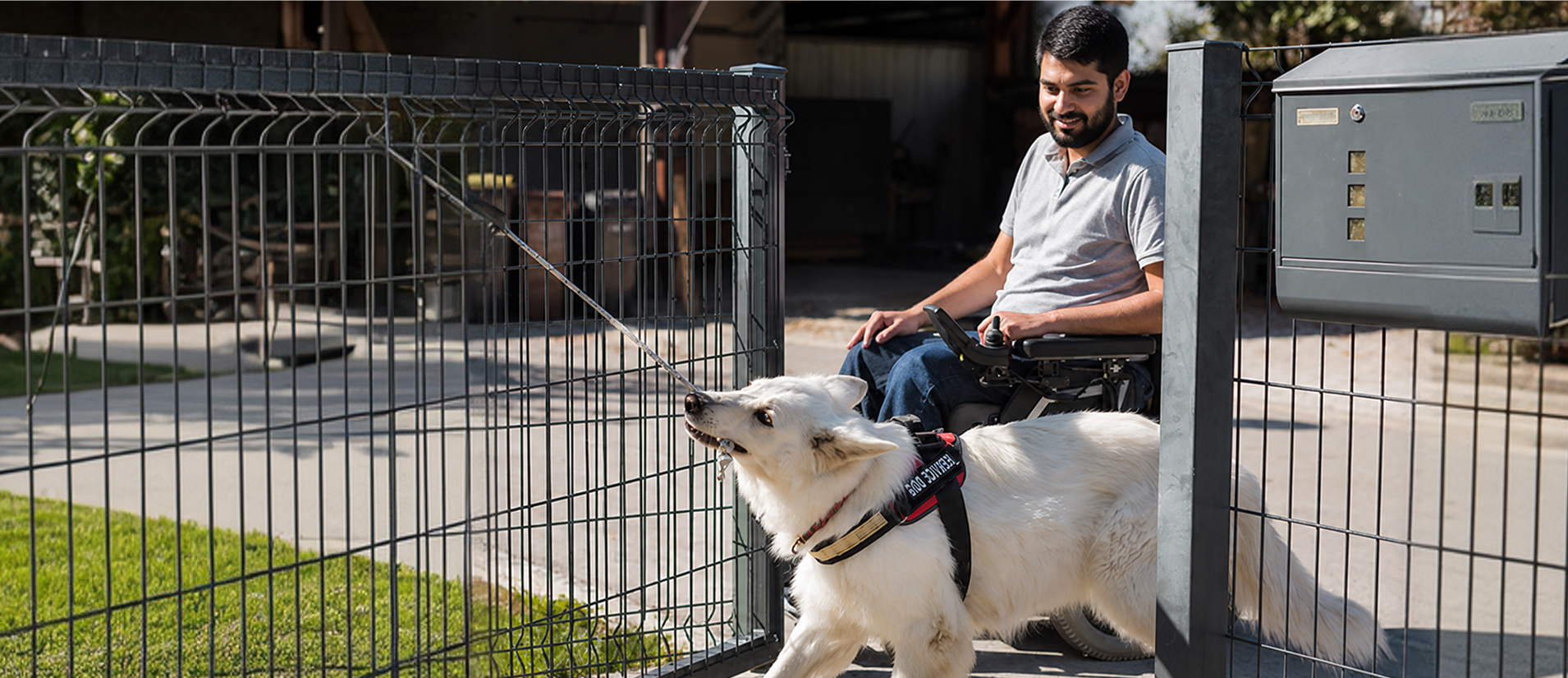 boarding-kennels