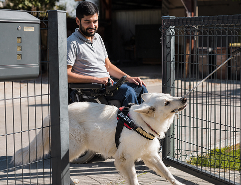 Boarding & Kennels